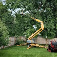 Best Emergency Tree Removal  in Mackinac Island, MI