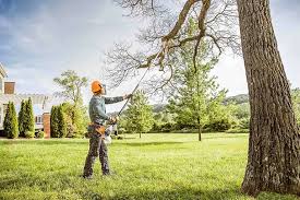 Best Tree Trimming and Pruning  in Mackinac Island, MI